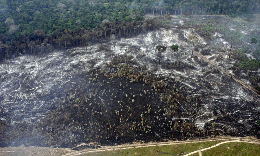 Clearing forests, such as in the National Forest of Bom Futuro, Rondônia, Brazil, adds more carbon dioxide to the atmosphere.