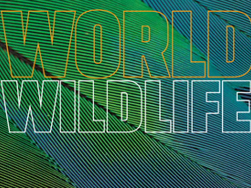 Spring 2014 WWF magazine cover