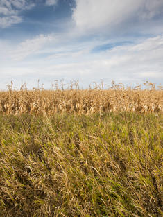 Grasslands of Rockhills Ranch, Lowry, South Dakota