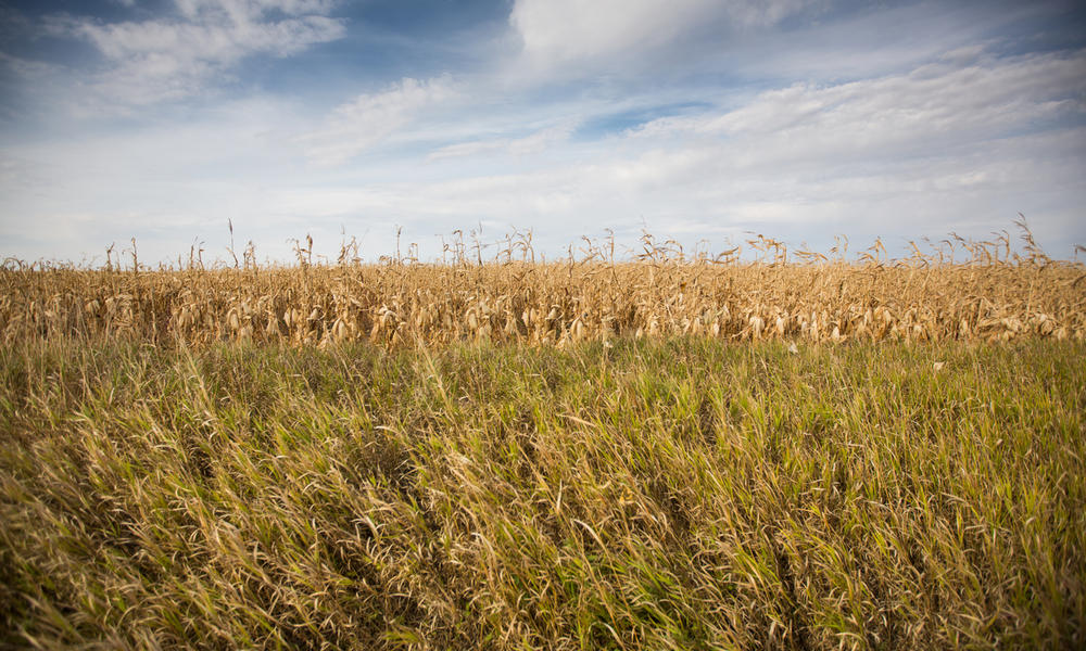 grasslands of Rockhills Ranch, Lowry, South Dakota