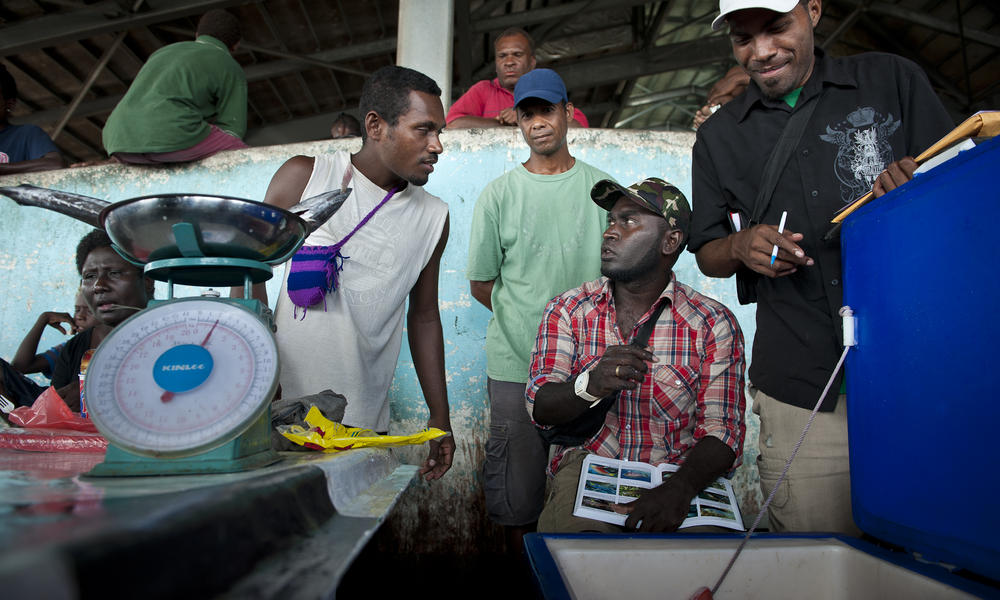 solomon island fishery