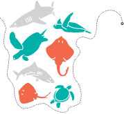 Bycatch Illustration