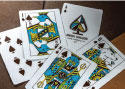 Theory 11 limited edition animal kingdom cards