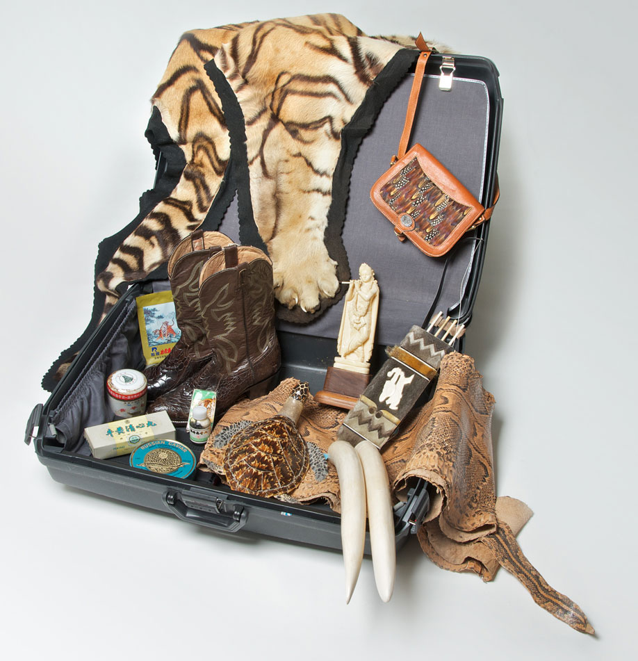 Foldable Multi-Purpose Bag - WWF Nature Store