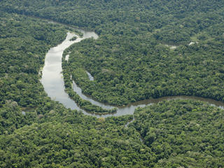 Floating down the Amazon River