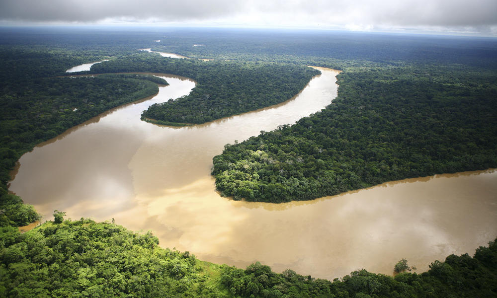Amazon rainforest_Loreto region, Peru_204019 | Photos | WWF