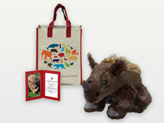 Adopt a Rhino