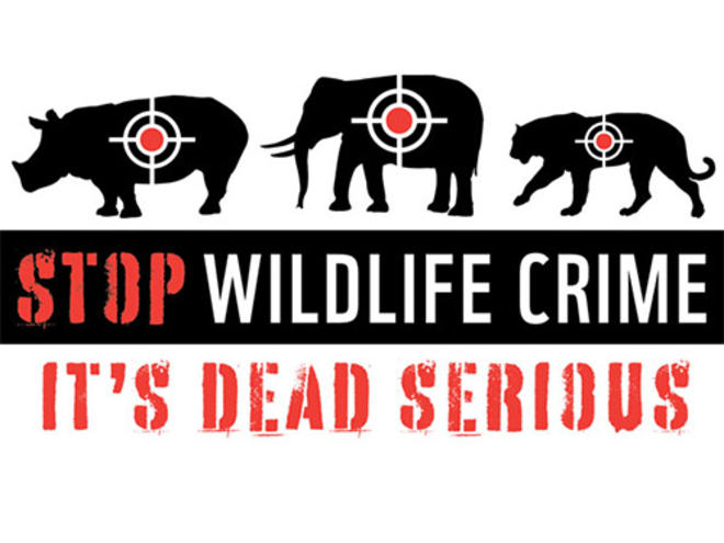 Stop Wildlife Crime campaign logo