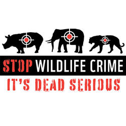 How many organizations exist to help protect wildlife?