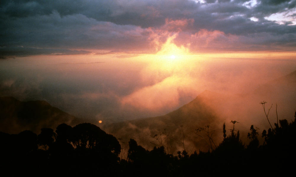 Rwenzori Mountains