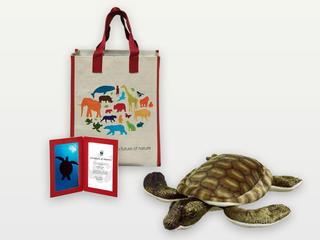 Adopt a Turtle