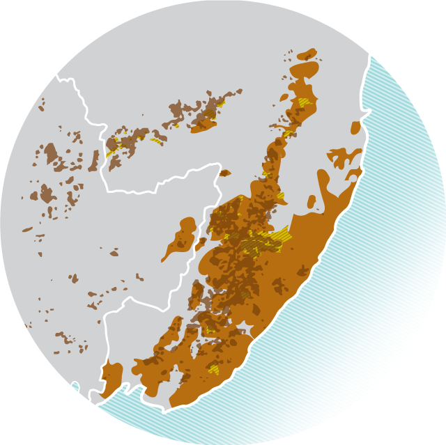 infographic map of amur tiger ranges, extent of Korean pine trees and pine nut harvesting zones in Russia, between northeastern China and the East Sea