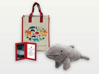 Adopt a Mekong Dolphin