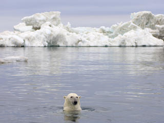 Beaufort Sea, Arctic Ocean, Alaska