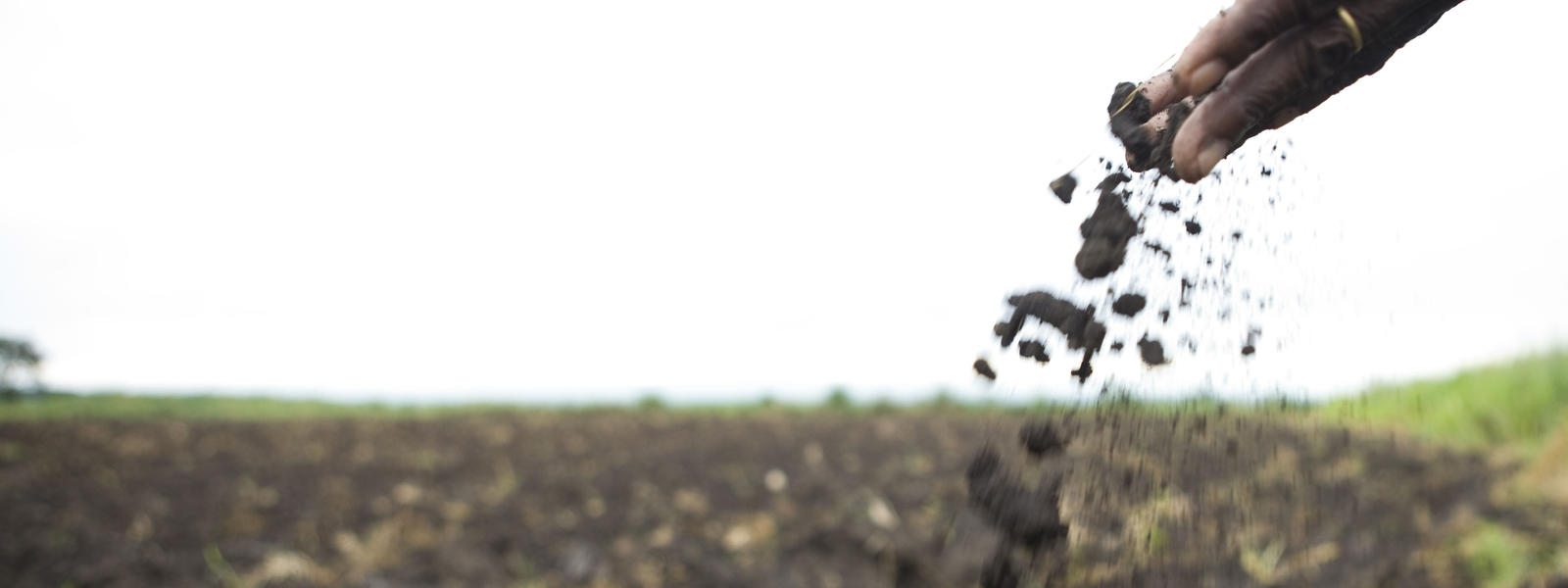 Hands touching soil in a field. Earth Overshoot Day acknowledges the day that we've used up all of the natural resources the earth can produce in 1 year.