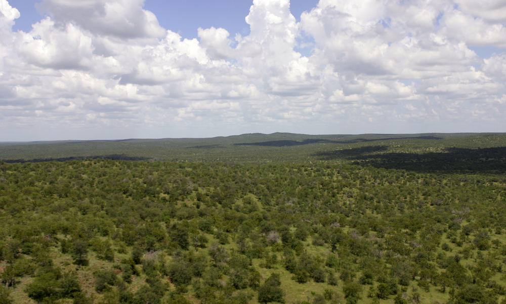 Kruger National Park, South Africa