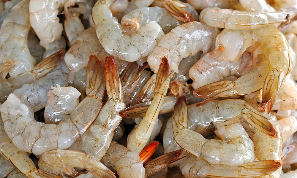 Farmed Shrimp