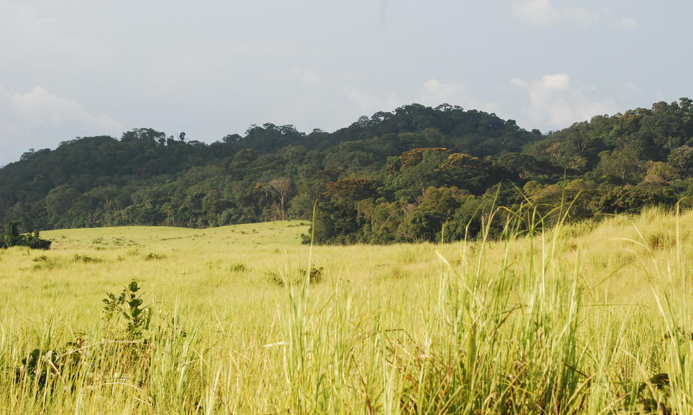 Gabon