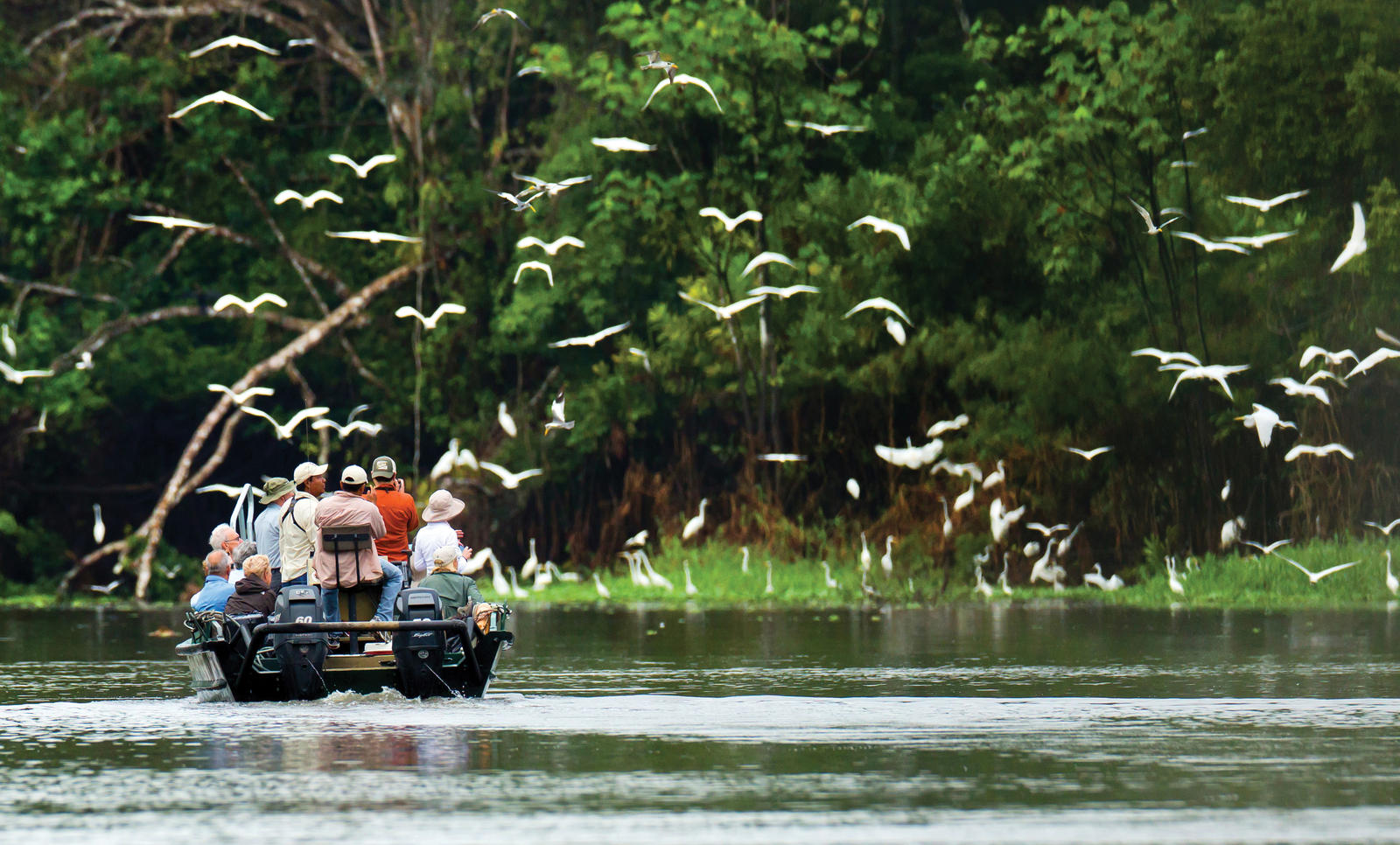 Amazon River Cruise | Magazine Articles | WWF