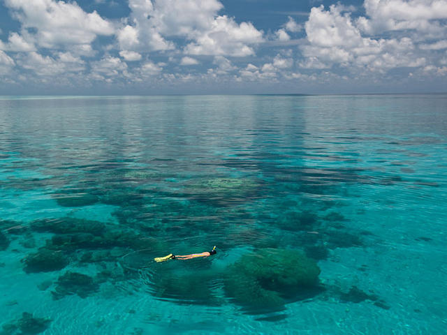 snorkeling in the pristine waters of Tubbataha Reefs Natural Park, Palawan, Philippines