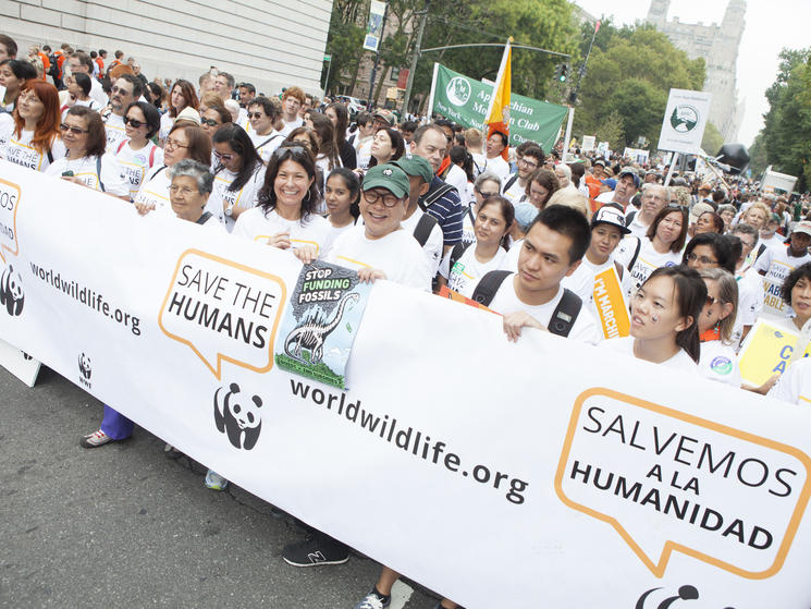 Supporters at the People's Climate March in New York City on Sunday, September 21, 2014. Scenes from the People's Climate March in New York City on Sunday, September 21, 2014. 20.09.2014
