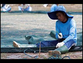 Farmed Seafood