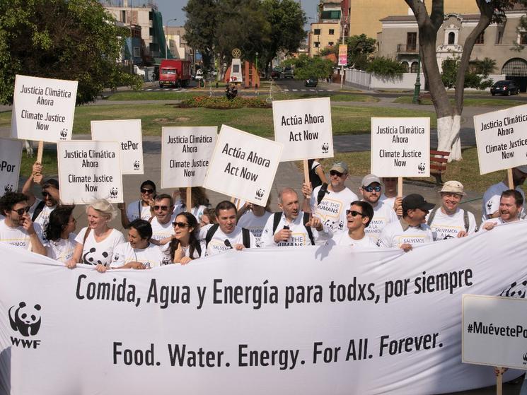 climate march in lima