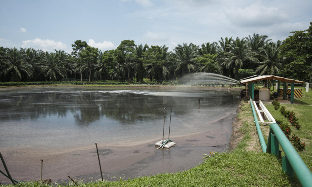 Waste water gets filtered and treated at the Agrocaribe palm oil plantation in Guatemala.