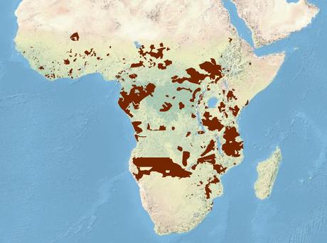 elephant range map