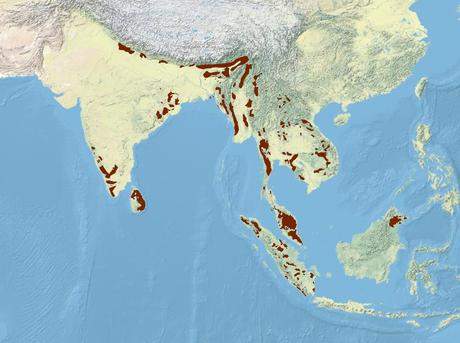 Indian Elephant Habitat Map