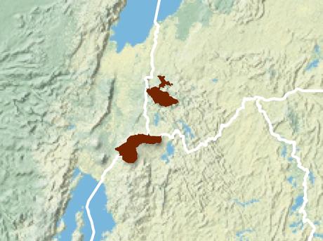 mountain gorilla habitat map