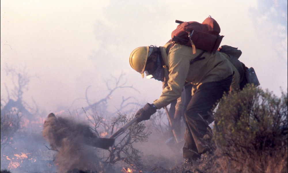 WWF's Nicky Sundt on Smoke Jumping and Climate Change Stories WWF
