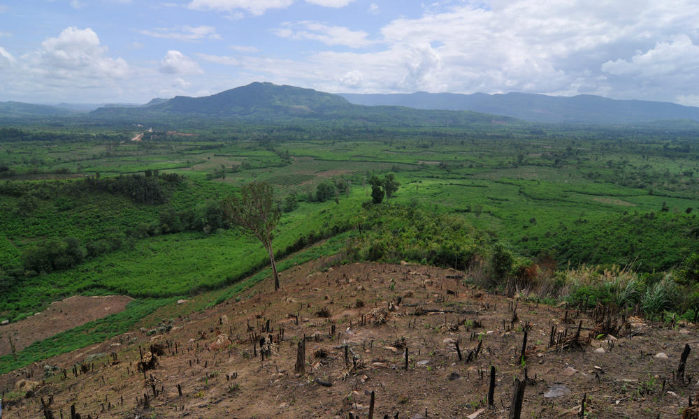 greater mekong deforestation