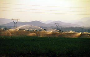 Intensive use of scarce groundwater resources to irrigate sugar cane Eastern Transvaal Republic Of South Africa