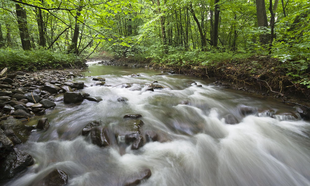 free flowing river