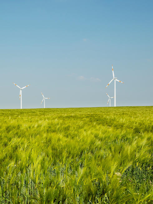 Group of wind turbines, Selfkant, Germany