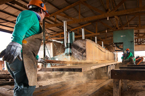 Wood processing jobs australia