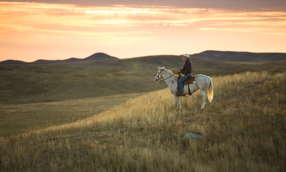 Is Ranching Sustainable