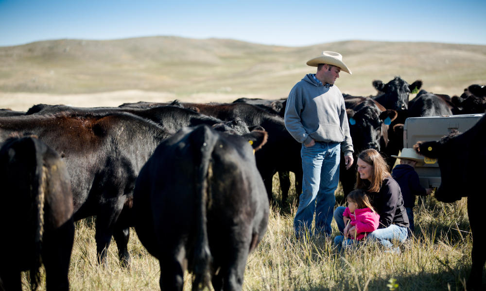 wfbf-statement-on-assembly-livestock-siting-legislation-wausau-times