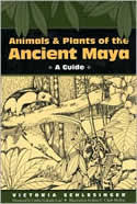 Animals and Plants of the Ancient Maya book