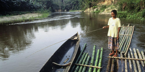 Talang Mamak woman fishing