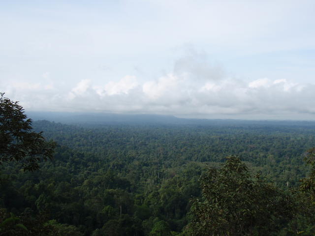 The Plan To Protect Thirty Hills Pages Wwf