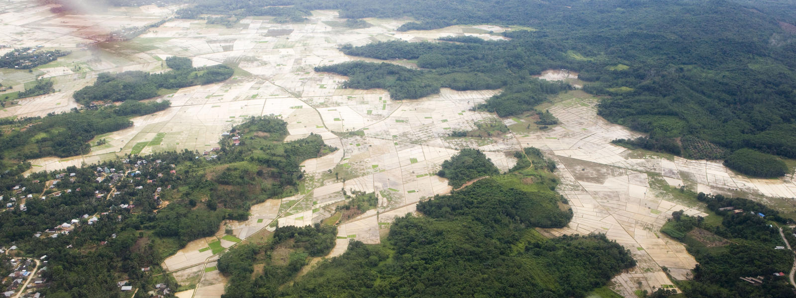image of deforestation