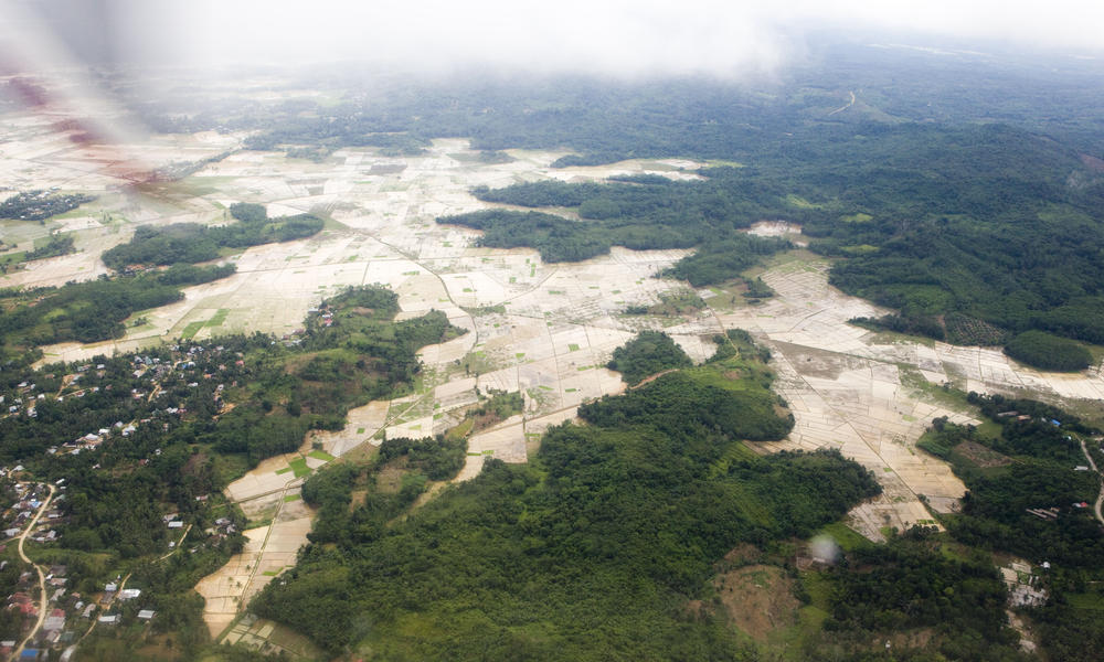  Deforestation  in Borneo  Photos WWF