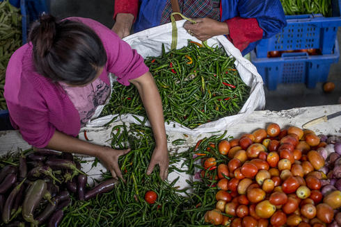 fresh produce