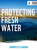 Protecting Fresh Water Guide