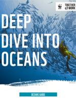 Deep Dive Into Oceans Brochure