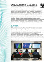 First Page of Status of Electronic Collection and Reporting of Key Information in Major Fisheries Summary Flyer (Spanish)