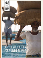 Better Production for a Living Planet Brochure