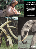 Tackling the Ivories Brochure